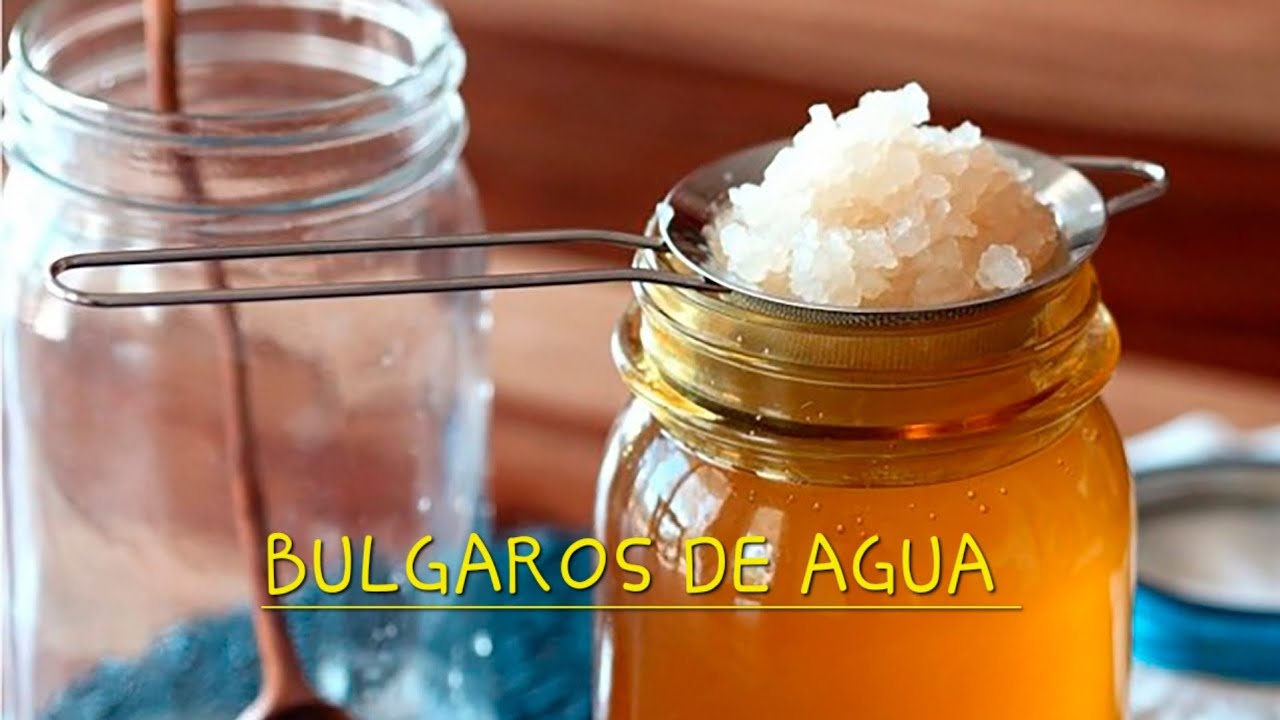 🦠🧊🥃BULGAROS O TIBICOS DE AGUA 🤤 Deliciosa y nutritivamente refrescantes 😌🤌🏻😮