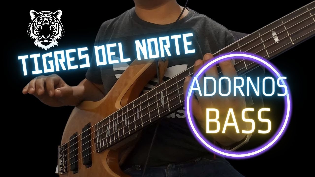 Adornos Tigres del Norte - Tutorial para bajo eléctrico