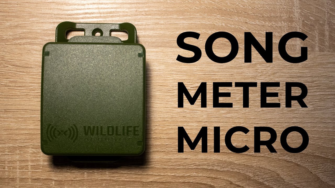 Vogelstimmen automatisiert aufnehmen: Song Meter Micro - Testbericht
