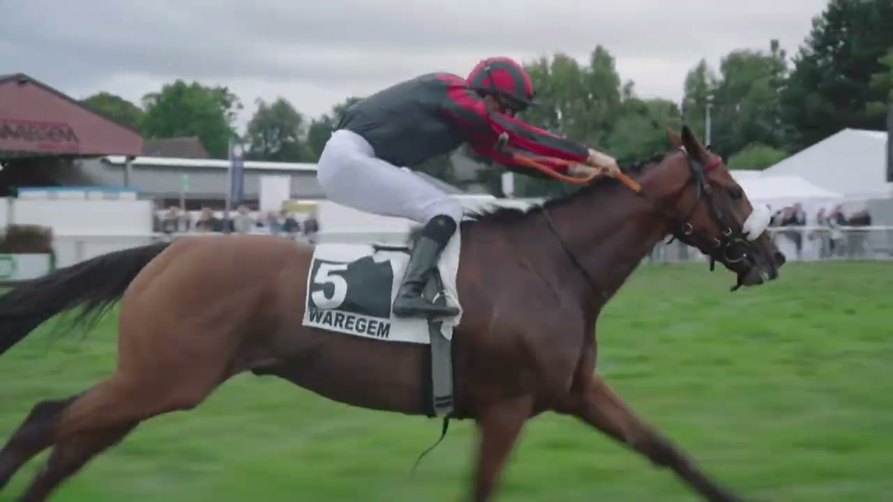 Prijs St-Leger 2025 – Waregem Koerse | Volledige Race