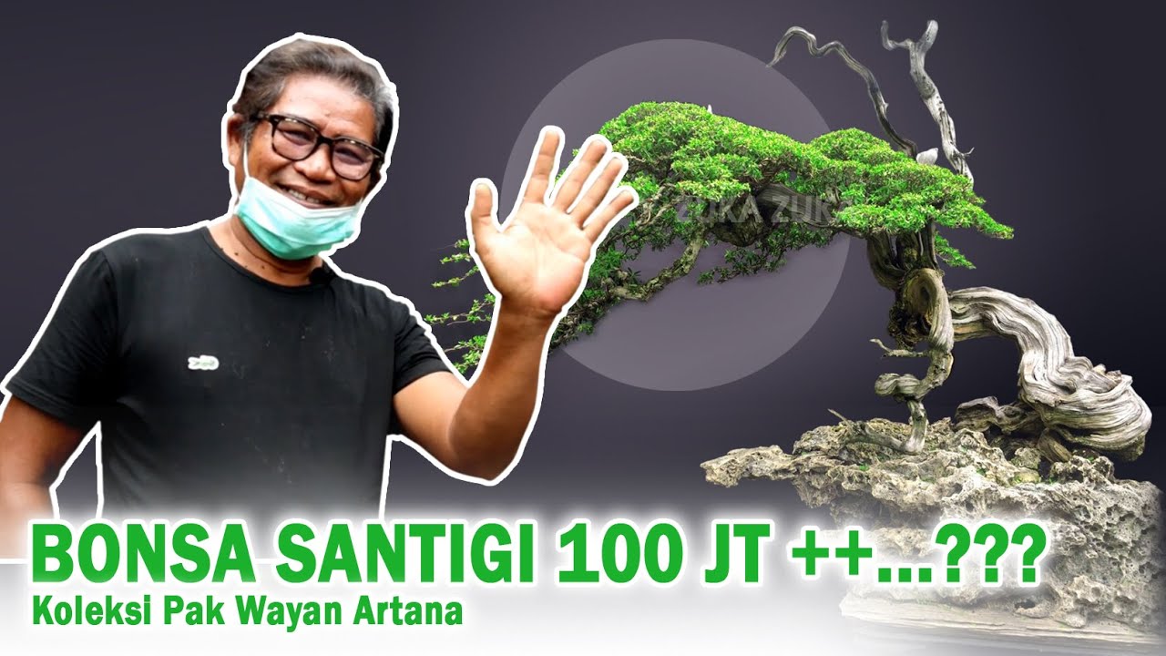 SANTIGI SEHARGA 100JT++...???