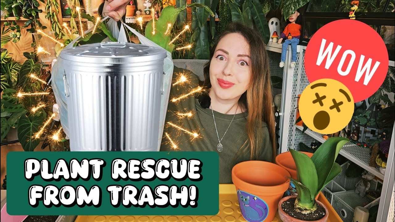 Very stressful and chaotic beast of a plant rescue from trash 😵‍💫🚯🪴