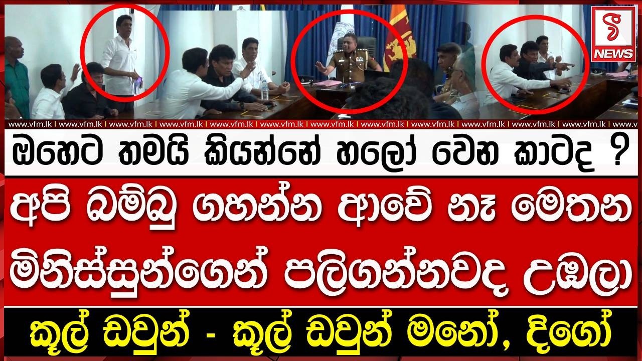 කූල් ඩවුන් කූල් ඩවුන් මනෝ, දිගෝ