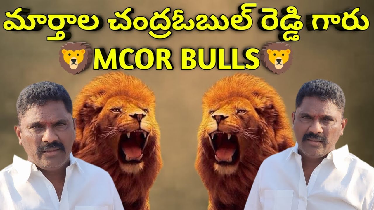 💥🌾దొడ్లవాగు సీనియర్ విభాగానికి 6వ జత MCOR బుల్స్ గారు💥10-02-2026💥