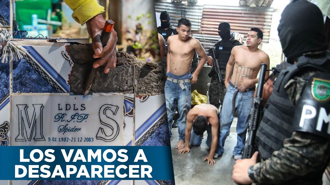 Así Ponen Fin A Las Pandillas: Bukele Envía Reclusos A Destruir Tumbas De Pandilleros En El Salvador