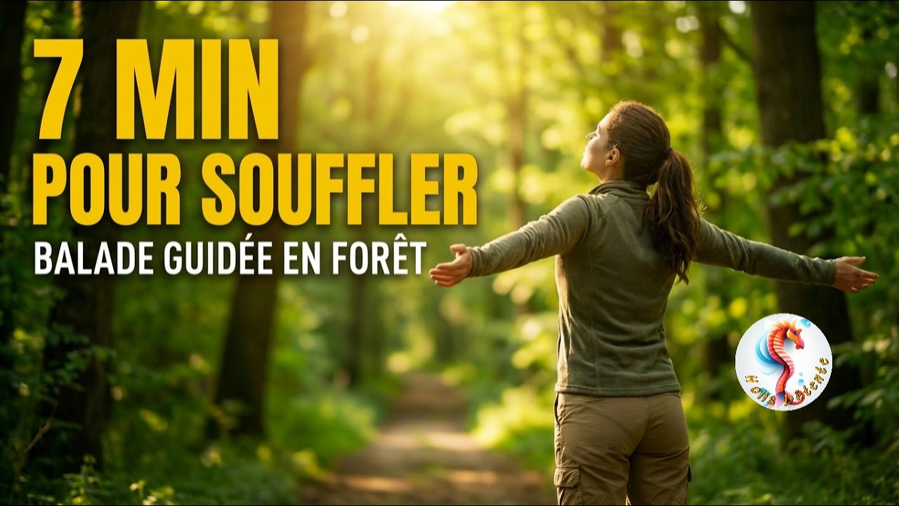 Balade guidée en forêt - 7 minutes pour respirer et vous recentrer🌿