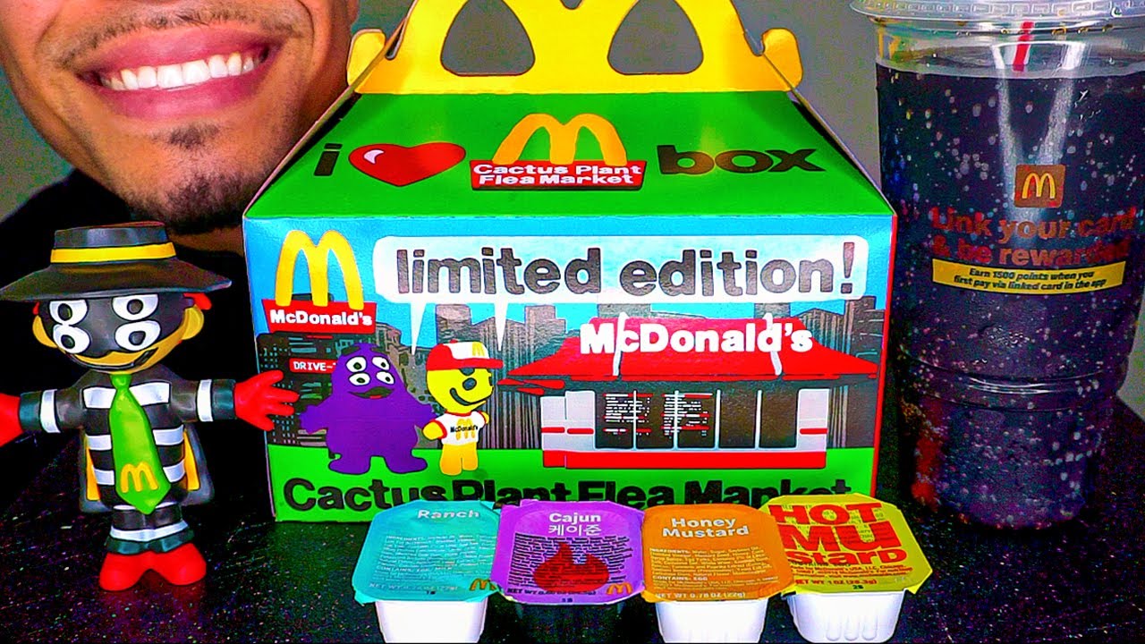 ASMR MCDONALD'S ADULT HAPPY MEAL CACTUS PLANT FLEA MARKET BIG MAC NUGGETS FRIES EATING SHOW TOY