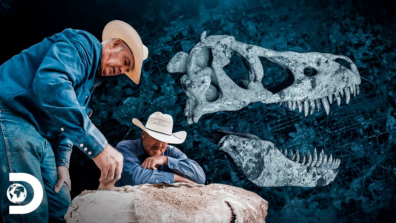 Descoberta de ossos de crânio de um Terópodes | Caçadores de Dinossauros | Discovery Brasil