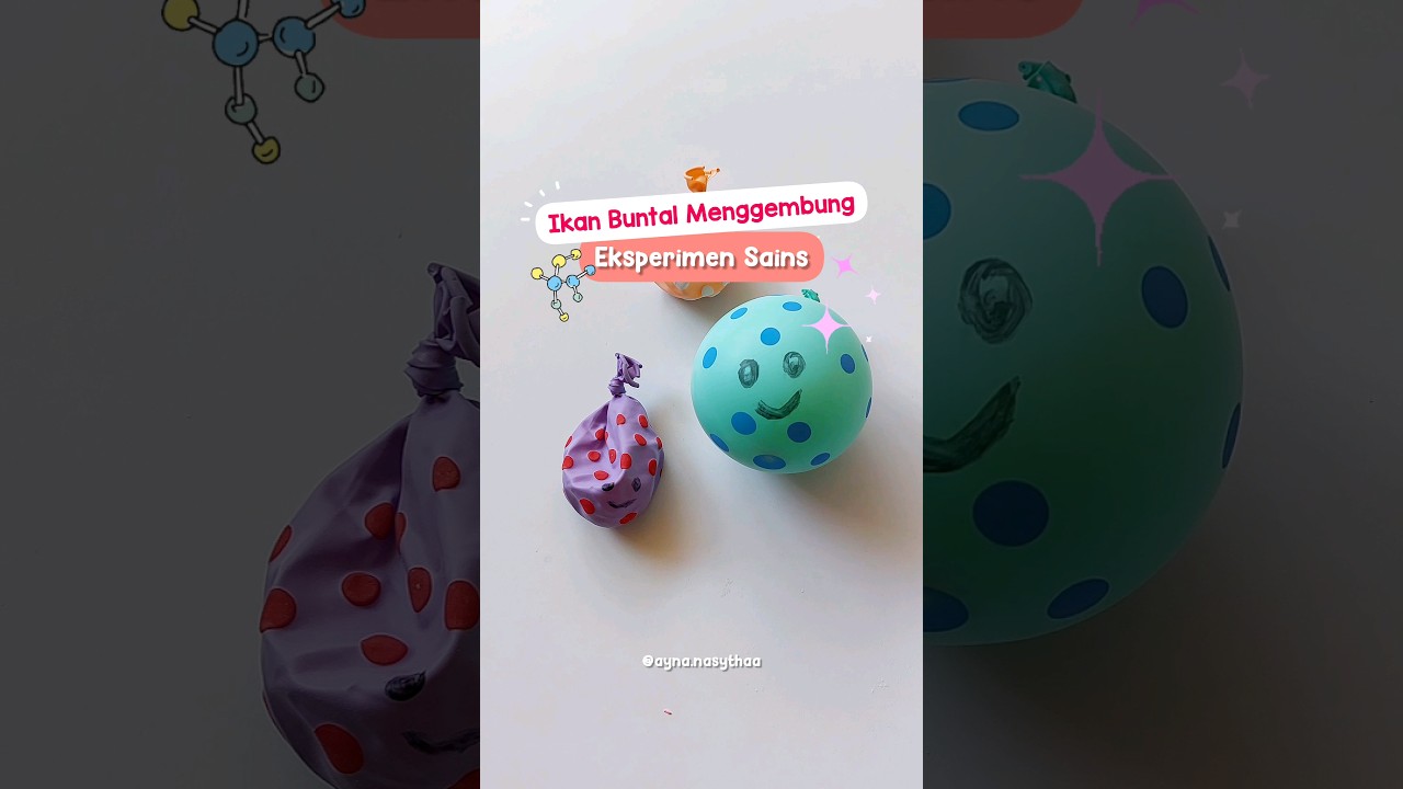 Eksperimen Sains Balon - Ikan Buntal Menggembung #eksperimen #shorts
