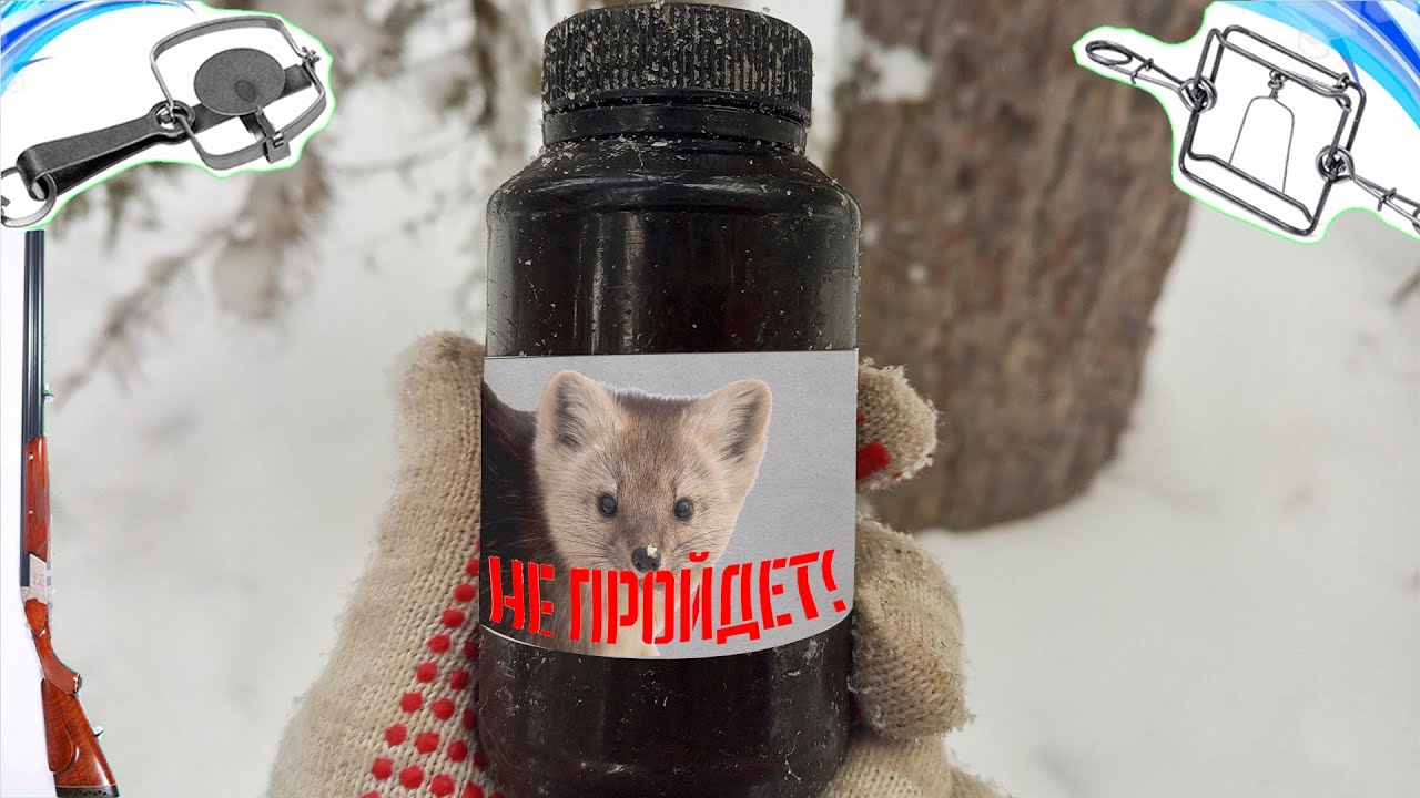 Испытание Секретной Приманки Из Тюбика | Охота На Соболя