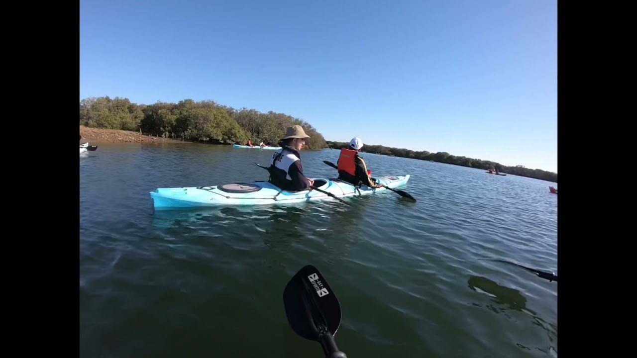 Adelaide Dolphin 🐬 Sanctuary
