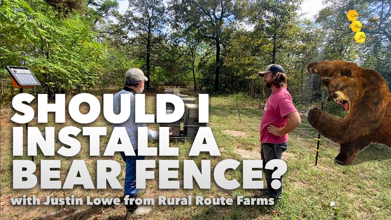 Should I install a bear fence? | Advice from a professional beekeeper