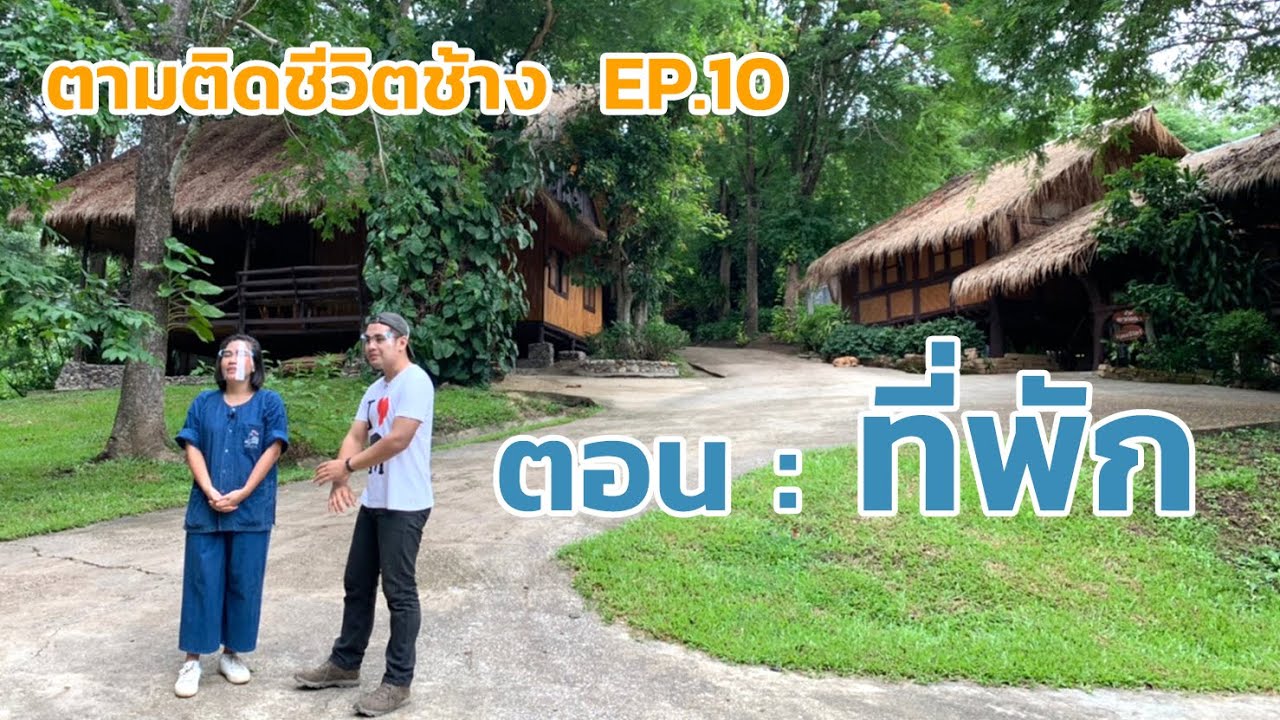 #ตามติดชีวิตช้าง EP.10 ตอน 