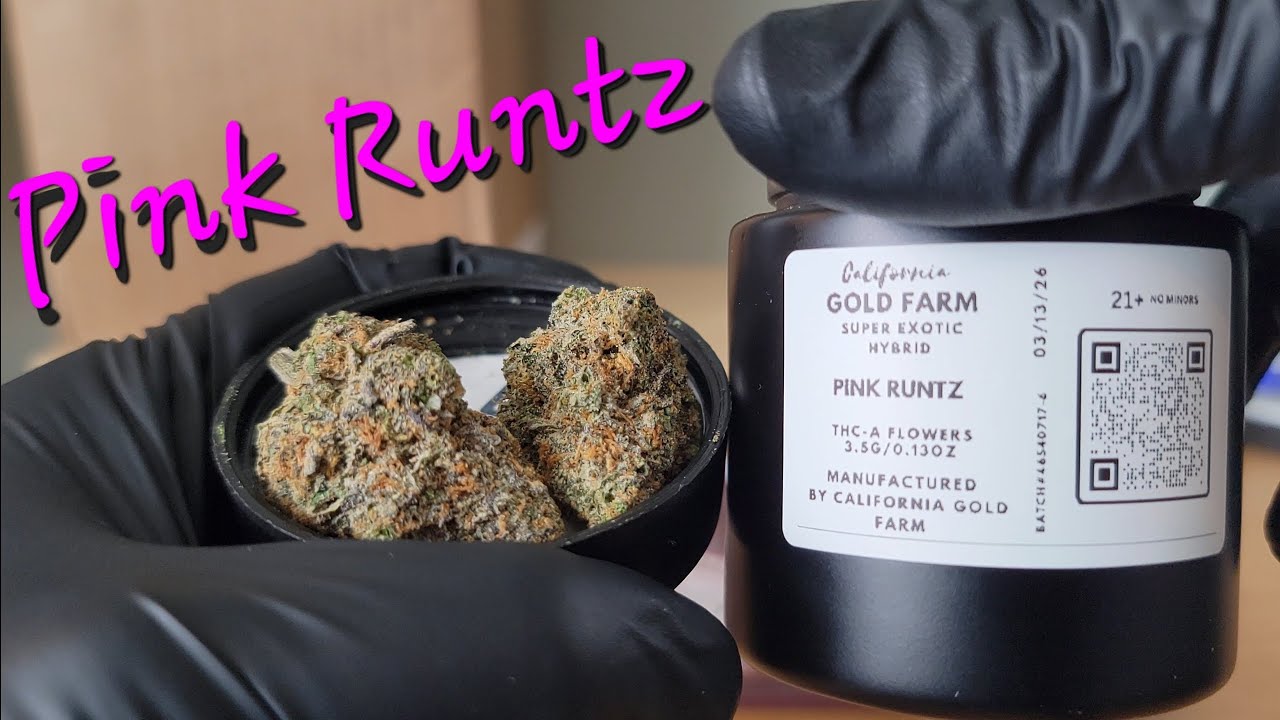 Pink Runtz - California Gold Farm - THCa Flower Review