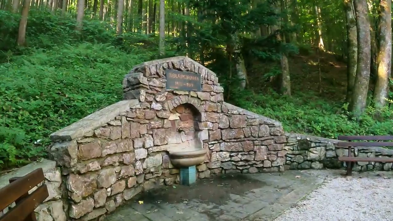 #13 Eisenwurzenweg 08 (Böhlerwerk - Amstettner Hütte, Oberland Bhf.)