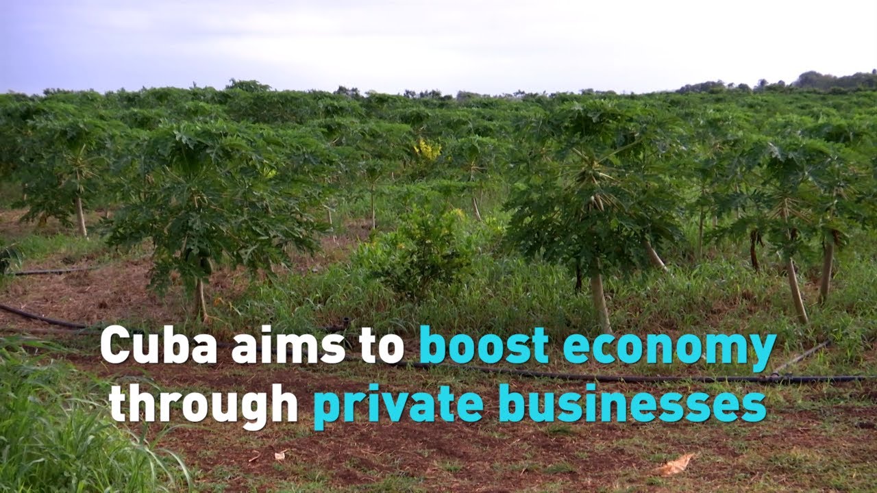 Cuba aims to boost economy thought private businesses