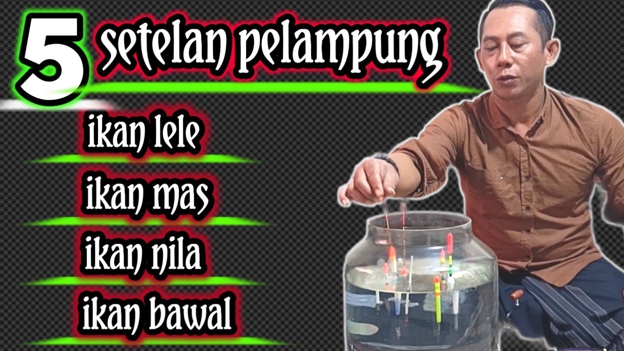 5 SETELAN PELAMPUNG GALATAMA LELE