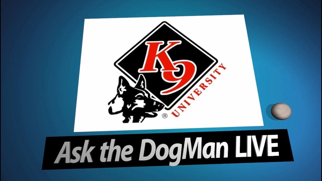 You Ask! We Answer! - Ask The DogMan LIVE Question and Answers on dog training | 1-6-2018 Show