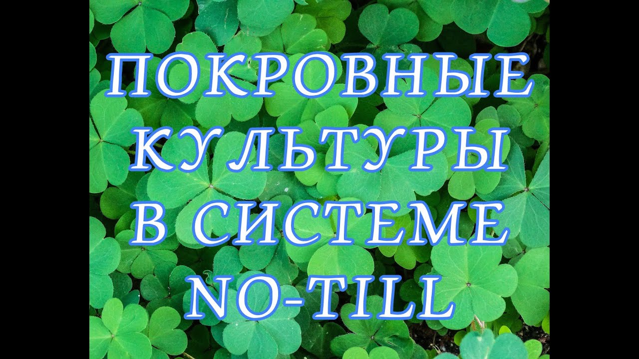 Покровные культуры в системе ноу-тилл Крым