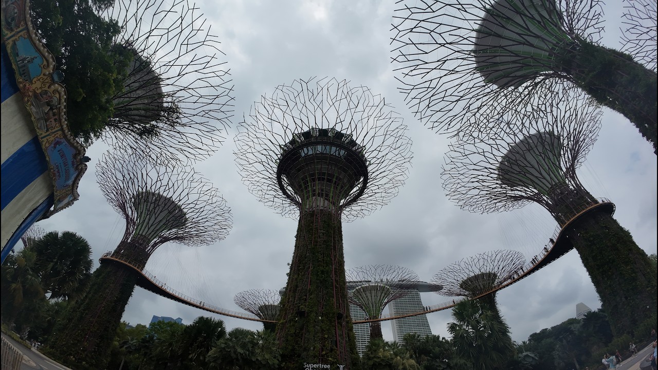 (싱가포르)Marina Bay  & Gardens by the Bay
