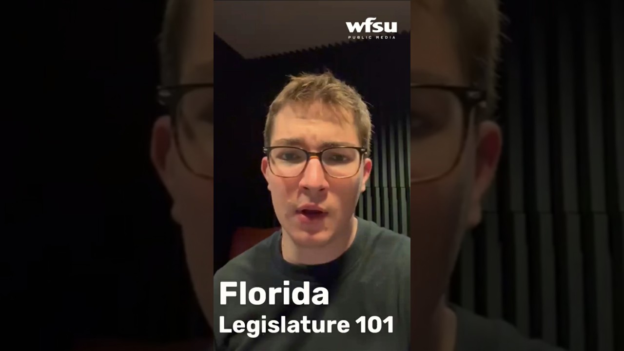 Florida Legislature 101 | How does a bill become a law in Florida?