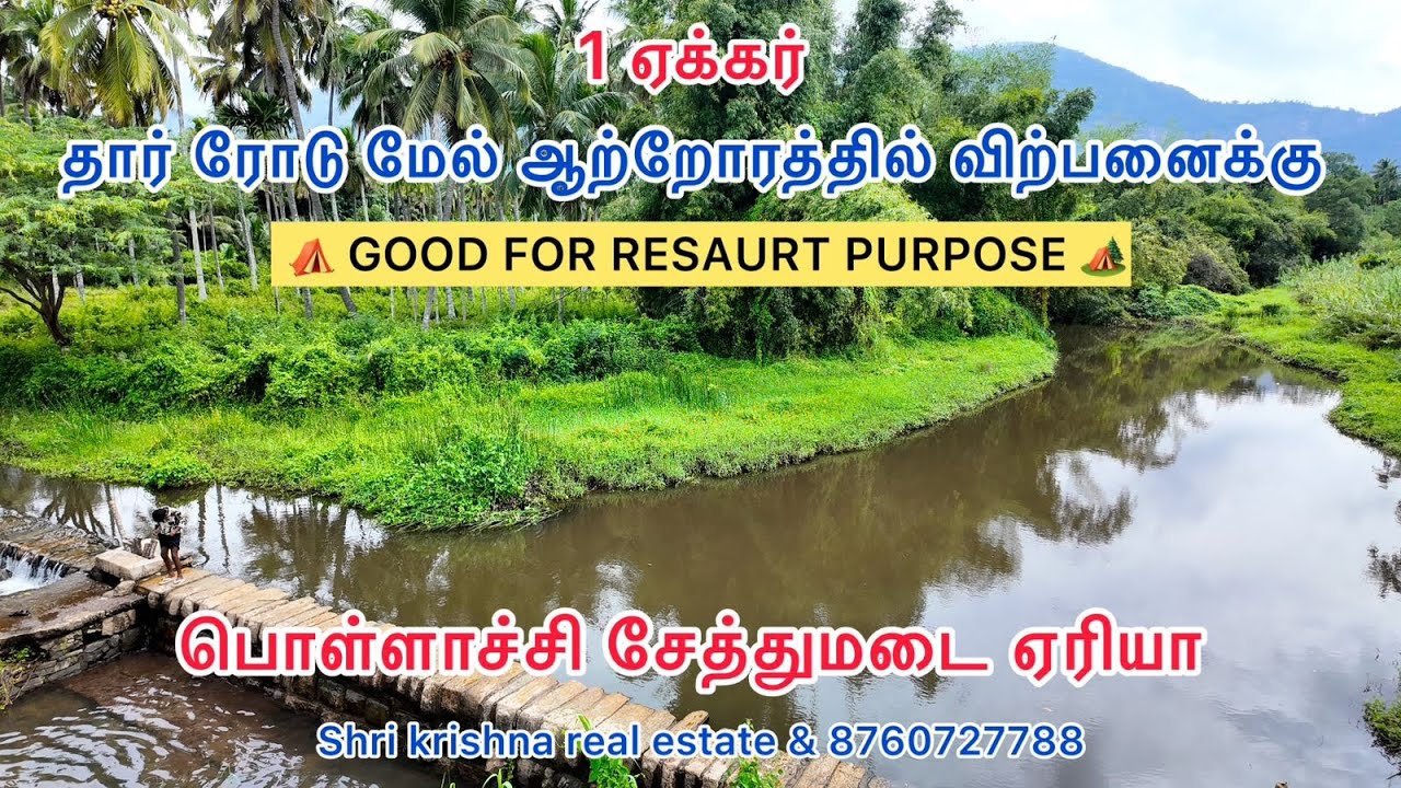 223) 1 ஏக்கர் தென்ன ந்தோப்பு ஆற்றோரத்தில் தார் ரோடு மேல் விற்பனைக்கு