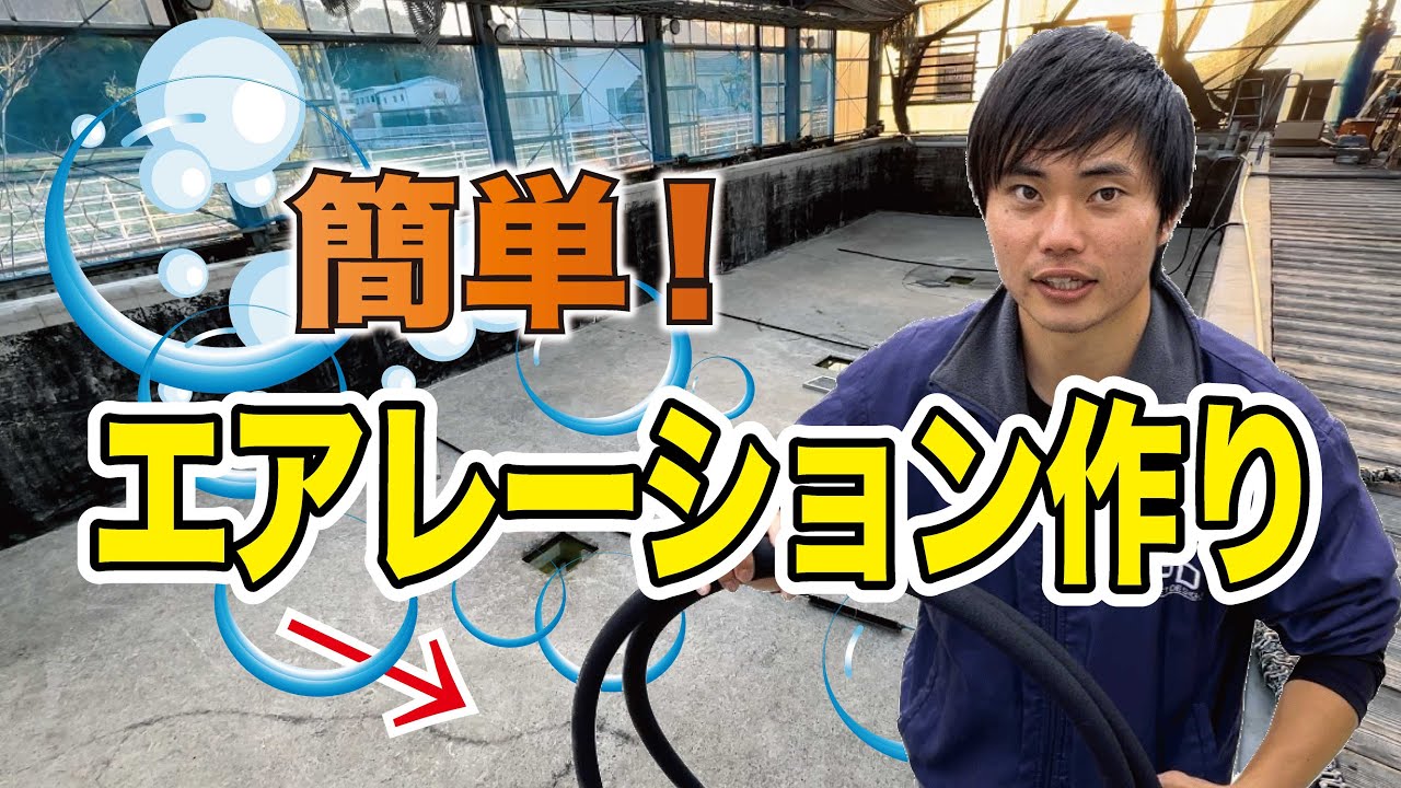 【大改造】錦鯉の楽園作り！250トン池のスッキリ改修で最高の環境に