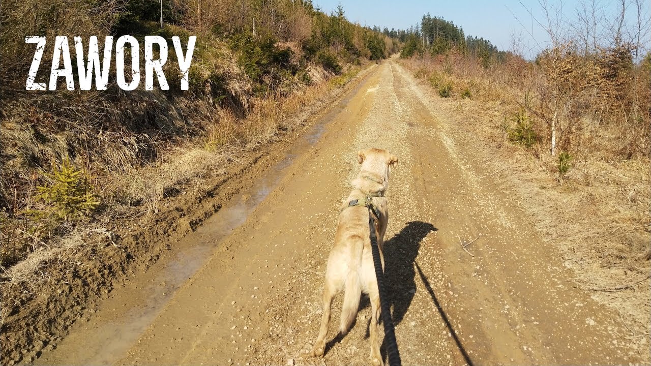 Tereny nieznane: Zawory