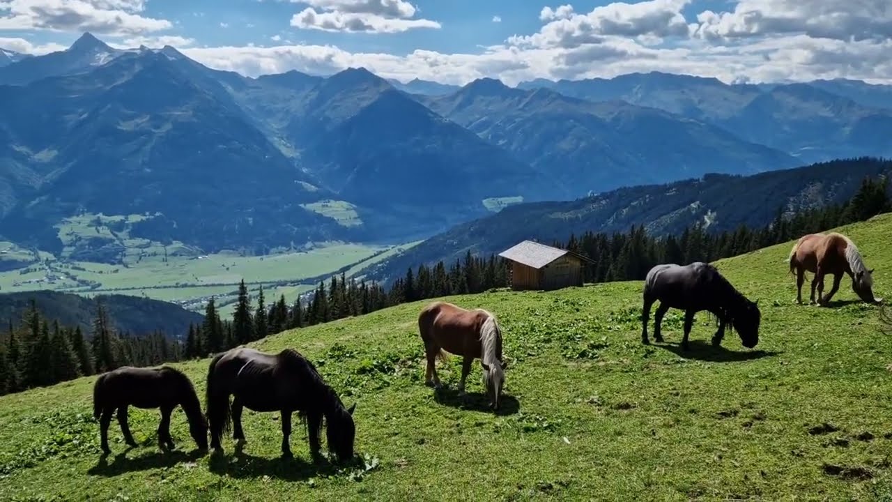 Piesendorf - Views from Hochsonnbergalm - 09/2023 | Pinzgau and Beyond