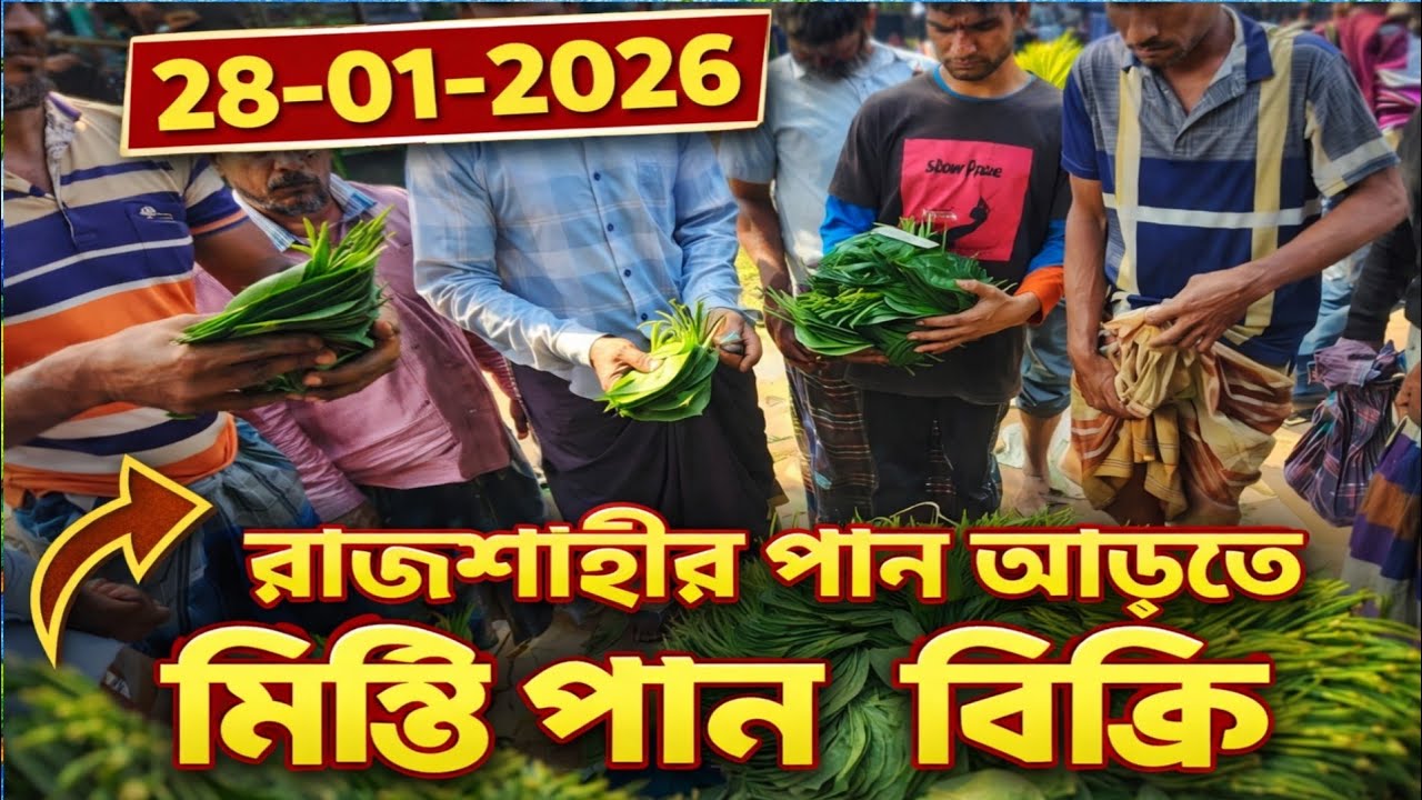 আড়ৎ এ বিক্রি হচ্ছে রাজশাহীর বিখ্যাত মিষ্টি পান! 😍