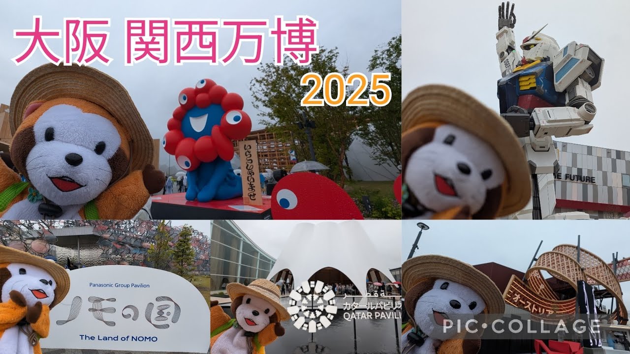 パペラスカルくん、大阪 関西万博に行く！♪ #大阪関西万博 #カタールパビリオン #ノモの国 #オーストリアパビリオン #ラスカル #パペット #ぬい活