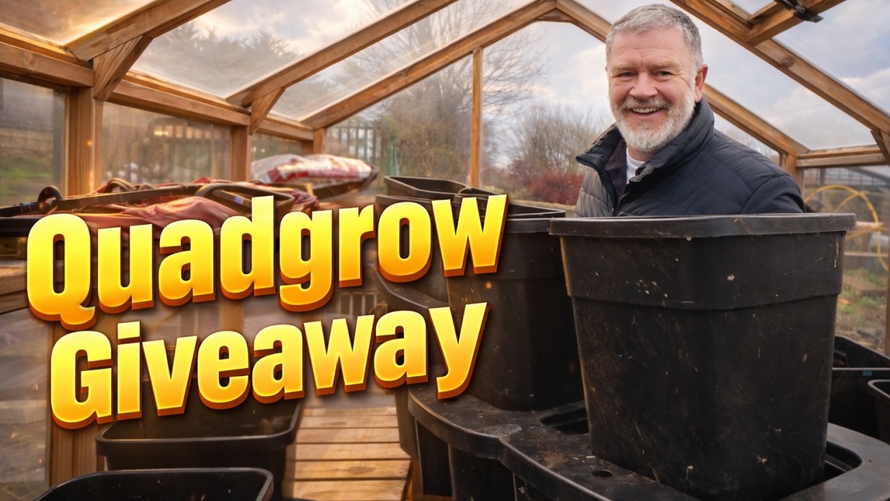 Anybody Want A Quadgrow