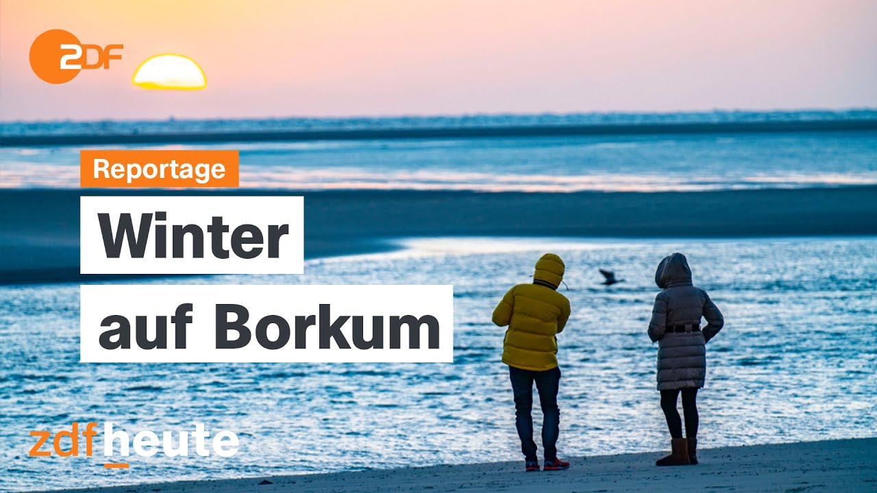 Nordsee pur: Wenn das echte Leben nach Borkum zurückkehrt | ZDF.reportage