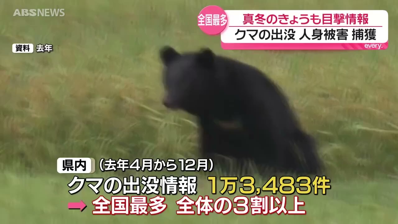 県内のクマの出没情報全国最多　9か月間で約1万3,500件