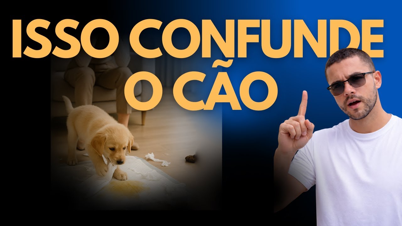 Por que o tapete higiênico confunde o aprendizado do cão