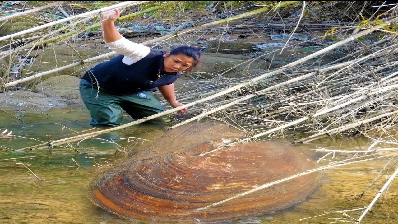 The Mystery of Clams! The girl searched for clams in the water and discovered the secret of pearls