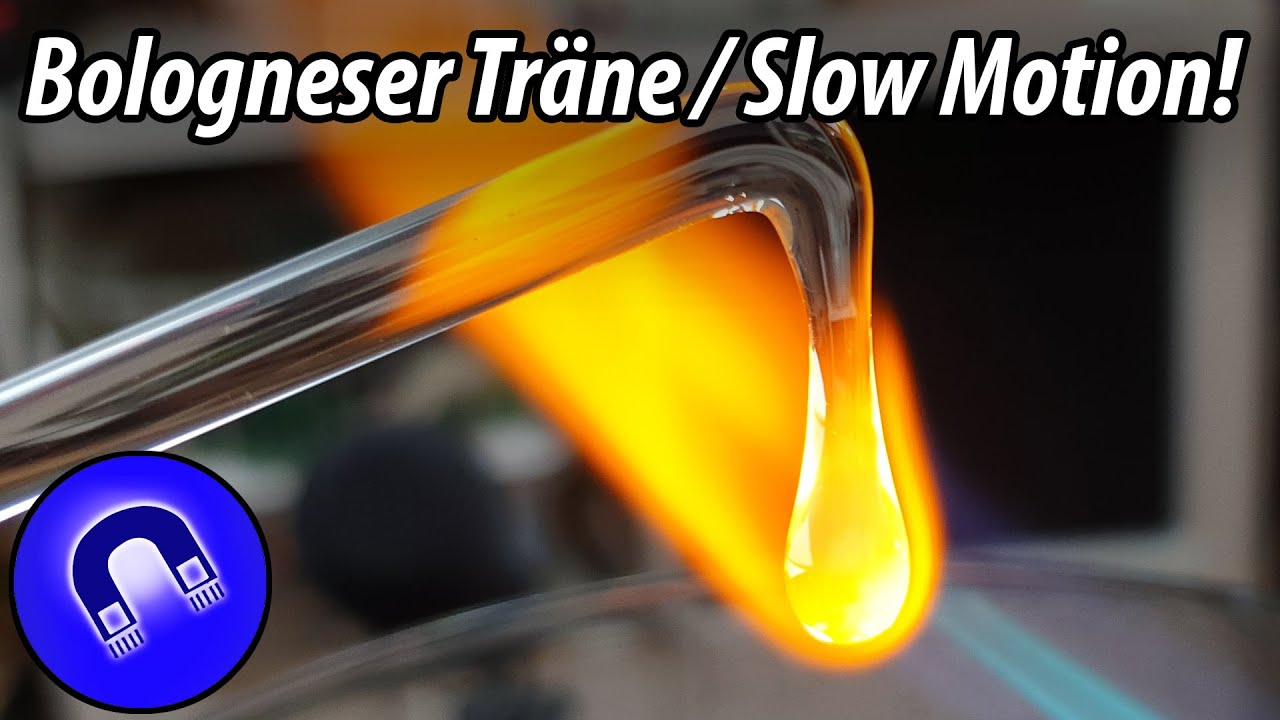 Bologneser Tränen mit Highspeedkamera!