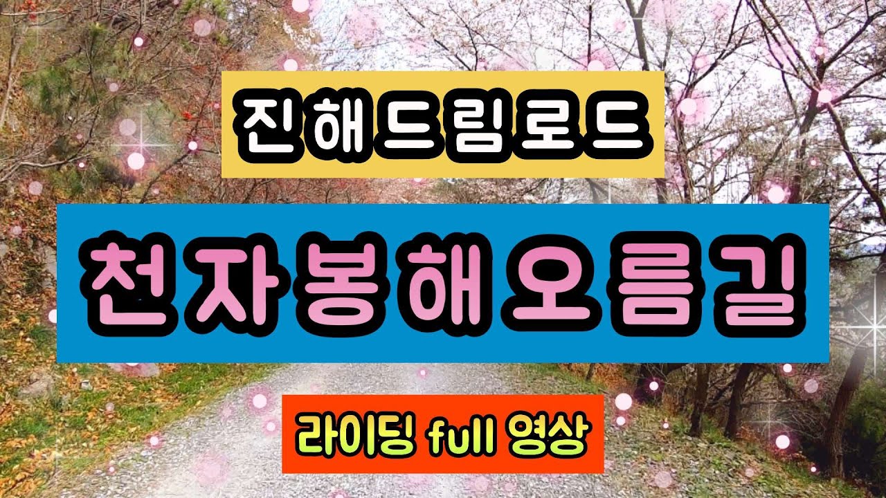 진해드림로드벚꽃라이딩 천자봉해오름길 라이딩풀영상 아름다운 자연과 함께 100프로리얼라이브TV