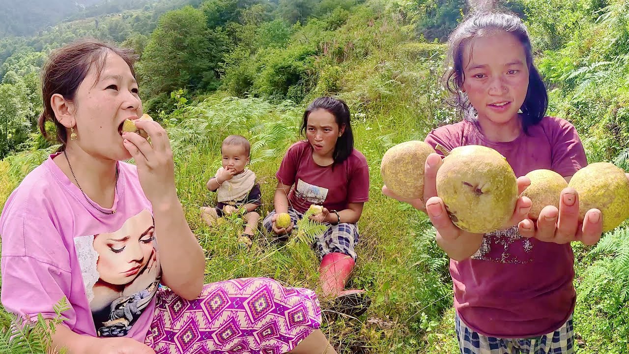 Herding cows & bullocks. Me, Dima & Saya Hang || Eating Local fruit दिमा र साया हाङ संग गोठालो गरेको