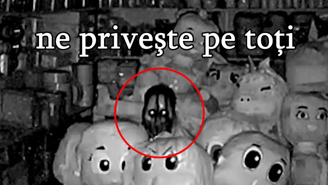 Traim Intr-o Lume Bizara