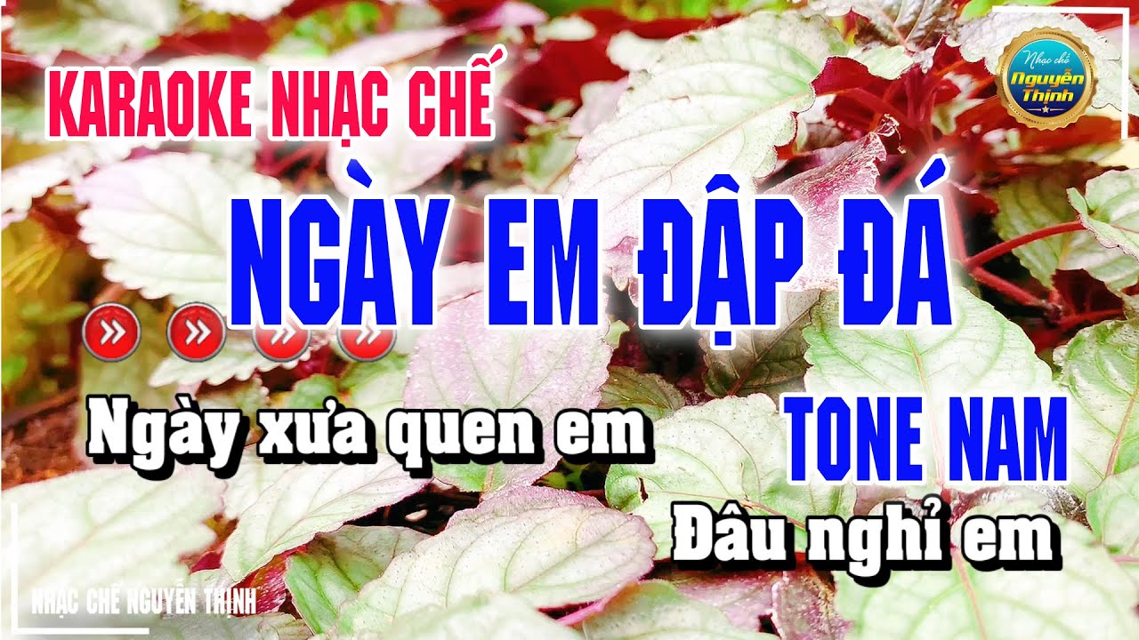 Karaoke Ngày Em Đập Đá - Nhạc Chế Ku Vàng Karaoke Beat Chuẩn HOT NHẤT