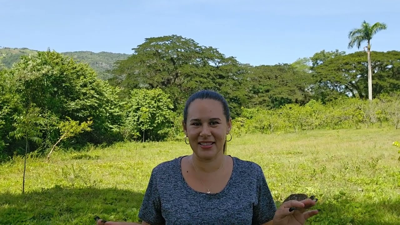Cómo son las casas del campo en Cuba