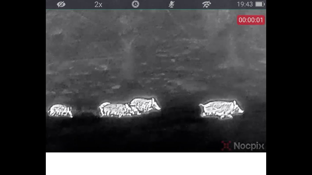 Nocpix Lumi L19