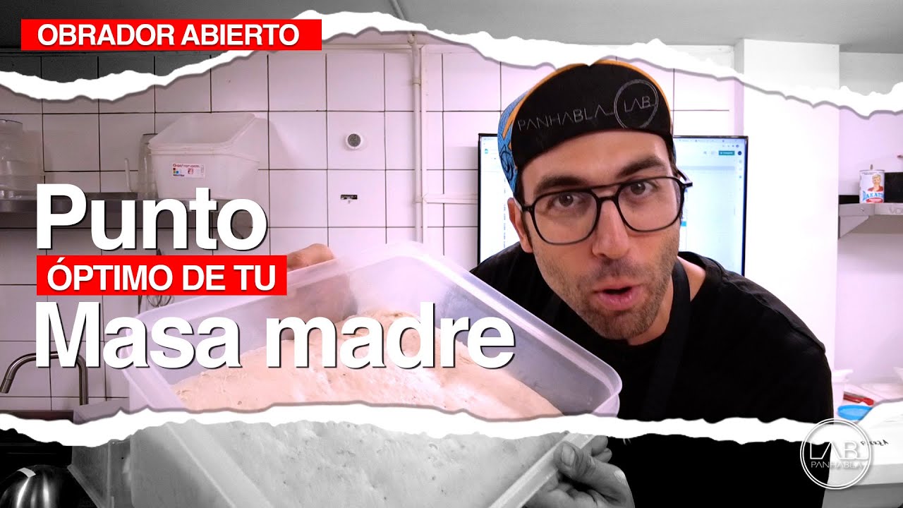 El punto OPTIMO de tu MASA MADRE | PANHABLA LAB | CAP27