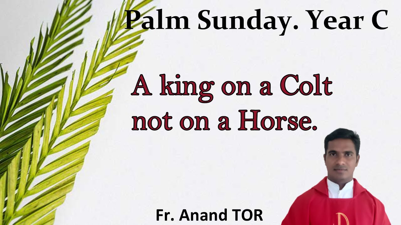 homily for the palm sunday  year c