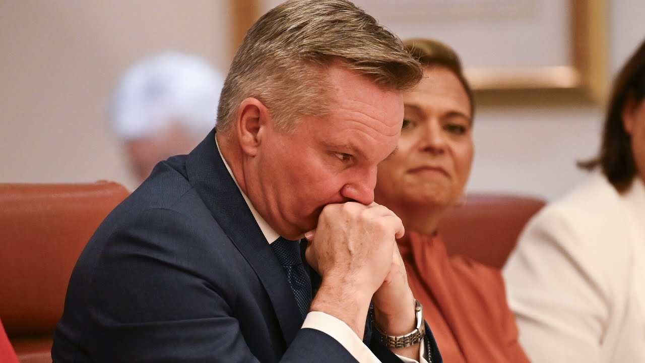 ‘Biggest bozo’: Labor avoids owning up to ‘disastrous’ renewable rollout