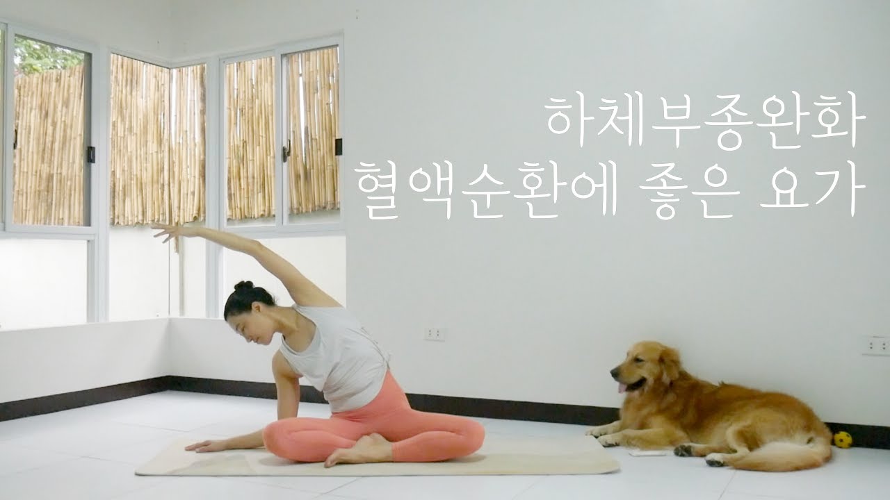 [EVA YOGA]하체 부종 완화, 혈액순환에 도움이 되는 요가