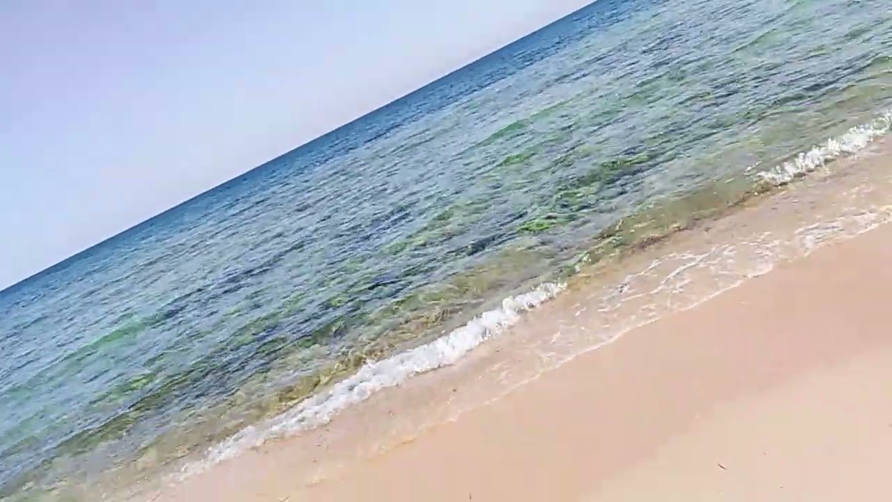 ٦ فبراير ٢٠٢٦