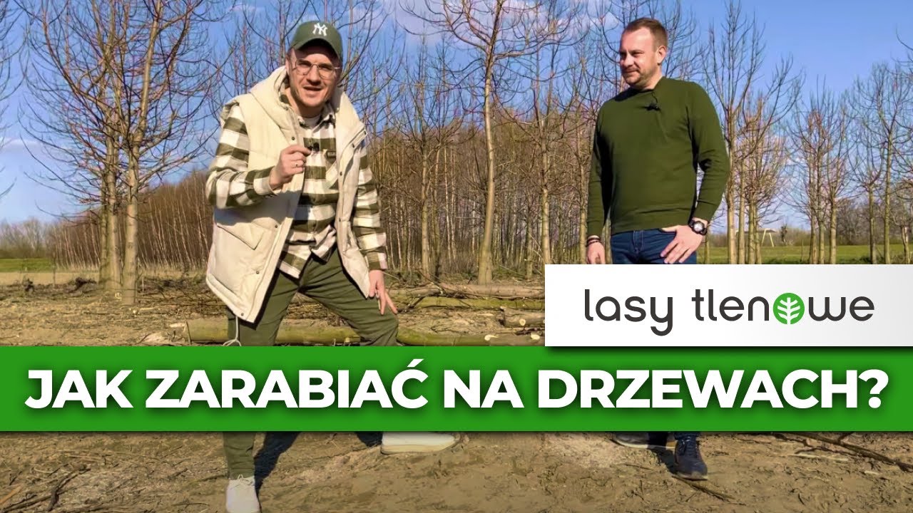 Jak zarabiać na drzewach? Lasy Tlenowe 🌳