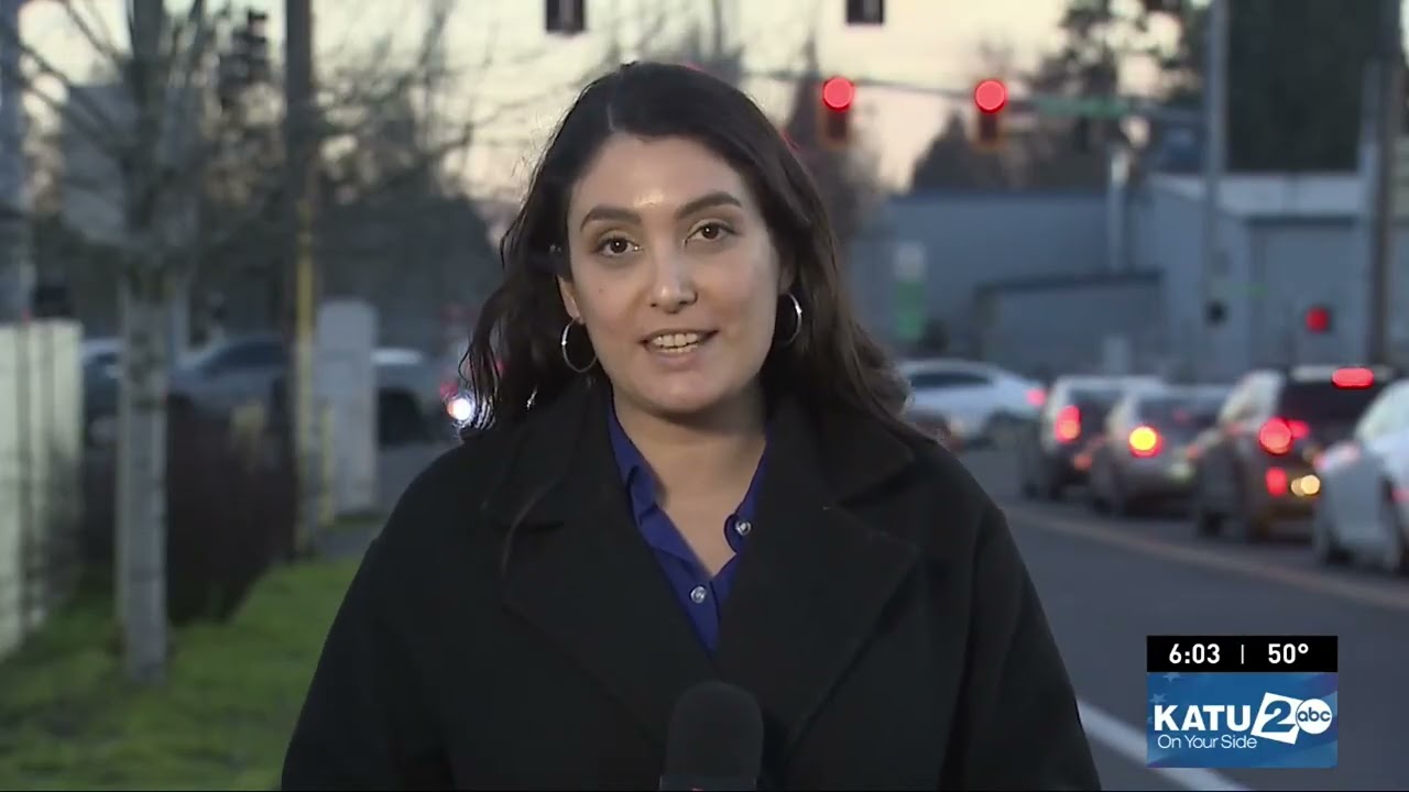 Salem woman who is a citizen says federal agents shattered her car window and injured her